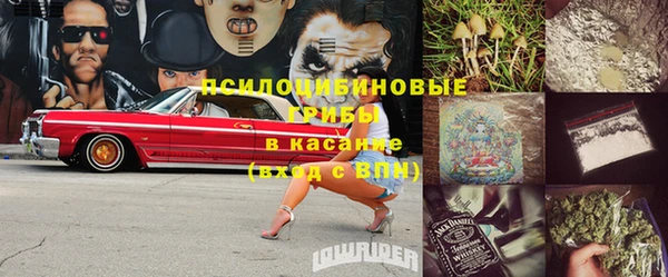 таблы Инсар