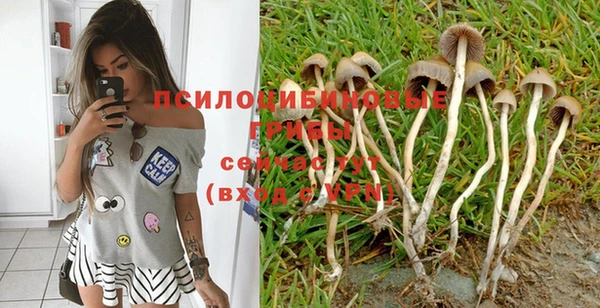 герыч Иннополис