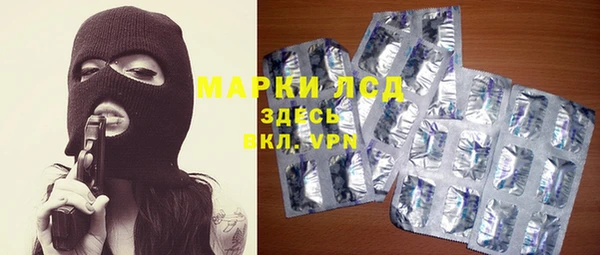 МДПВ Каменногорск